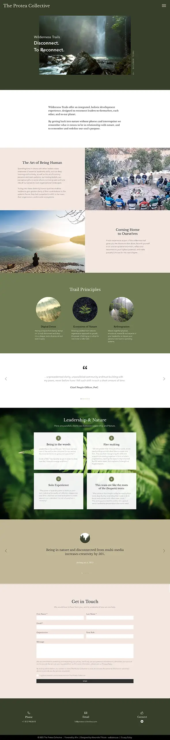Protea collective bespoke website and SEO, homepge design layout by Alexandra Tribute